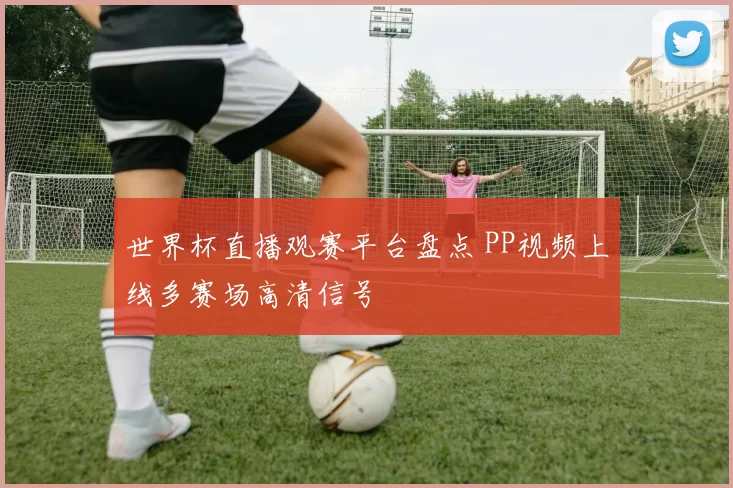 世界杯直播观赛平台盘点 PP视频上线多赛场高清信号