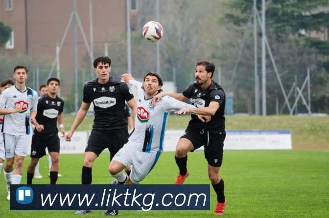 开云app官方版网站登录入口 - 开云(中国)品牌故事